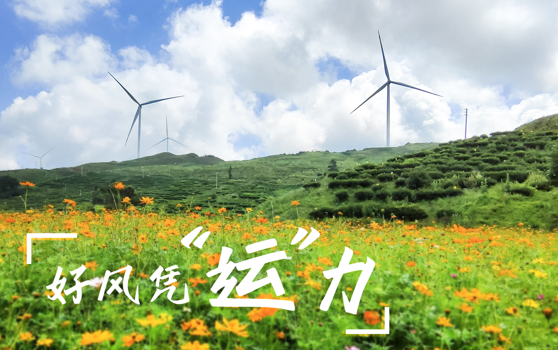 【好風(fēng)憑“運”力】“大風(fēng)車”轉(zhuǎn)出鄉(xiāng)村振興新路子